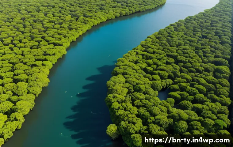 맹그로브 보존을 위한 기술 혁신 사례 - A detailed aerial view of a dense mangrove forest with a solar-powered drone hovering above, equippe...