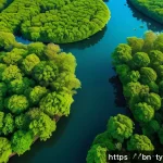 Home 22 맹그로브 생태계 보존을 위한 정부 정책 - A vibrant mangrove forest in Bangladesh, captured from above by a drone, showing dense green foliage...