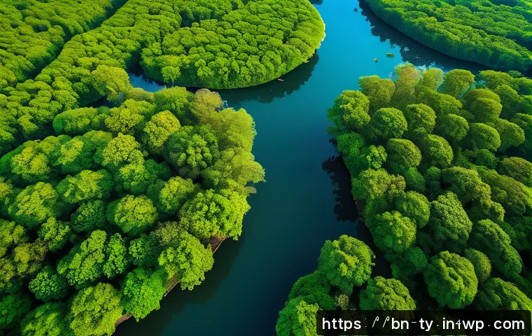 맹그로브 생태계 보존을 위한 정부 정책 - A vibrant mangrove forest in Bangladesh, captured from above by a drone, showing dense green foliage...
