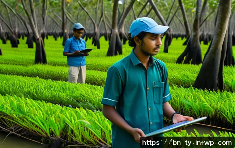 বাংলাদেশে ম্যাংগ্রোভ সংরক্ষণের জন্য নতুন সরকারি নীতিমালা ও তার প্রভাবের বিশ্লেষণ 4 맹그로브 생태계 보존을 위한 정부 정책 관련 이미지 2