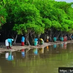 Home 19 맹그로브 보존을 위한 지역 사회 참여 방안 - A vibrant scene of a local Bengali coastal village where community members, including men and women ...