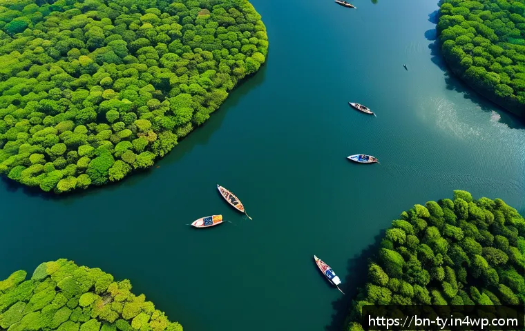 맹그로브 생태계의 법적 보호 기준 - A detailed aerial view of a vibrant mangrove forest in Bangladesh, showcasing dense green foliage in...