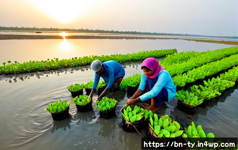 맹그로브 생태계 복원 단계별 가이드 - Photorealistic coastal restoration scene in Bangladesh, local community volunteers in modest practic...