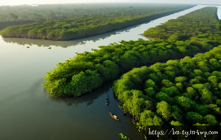 맹그로브 생태계를 위한 국제 기구의 역할 - Photorealistic aerial view of a thriving mangrove forest along the Bangladesh coast, international c...